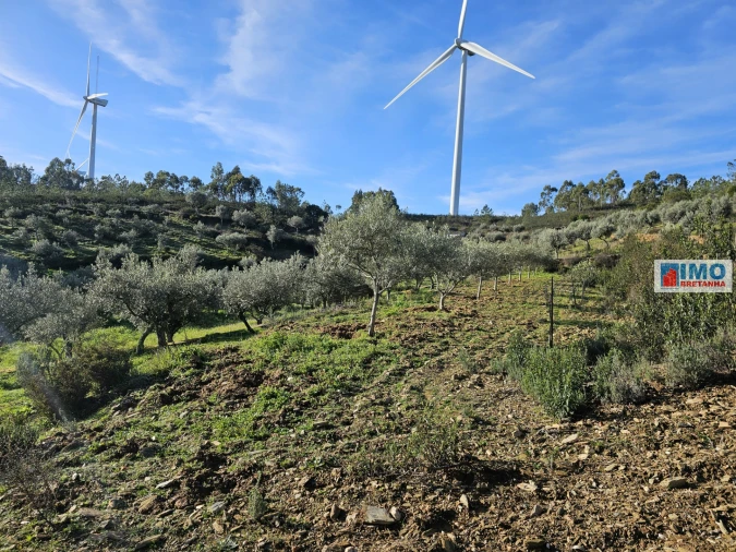 Quinta T0 para Venda em Cebolais de Cima e Retaxo Foto 12
