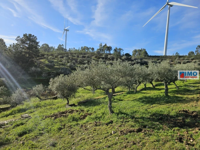 Quinta T0 para Venda em Cebolais de Cima e Retaxo Foto 10