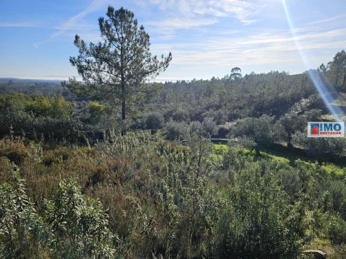 Quinta T0 para Venda em Cebolais de Cima e Retaxo Foto 11