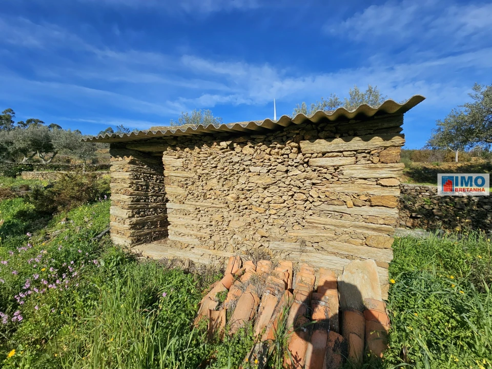 Quinta T0 para Venda em Cebolais de Cima e Retaxo Foto 3