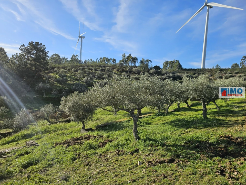 Quinta T0 para Venda em Cebolais de Cima e Retaxo Foto 10