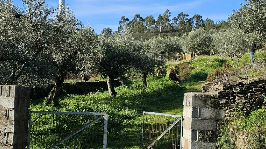 Quinta T0 para Venda em Cebolais de Cima e Retaxo
