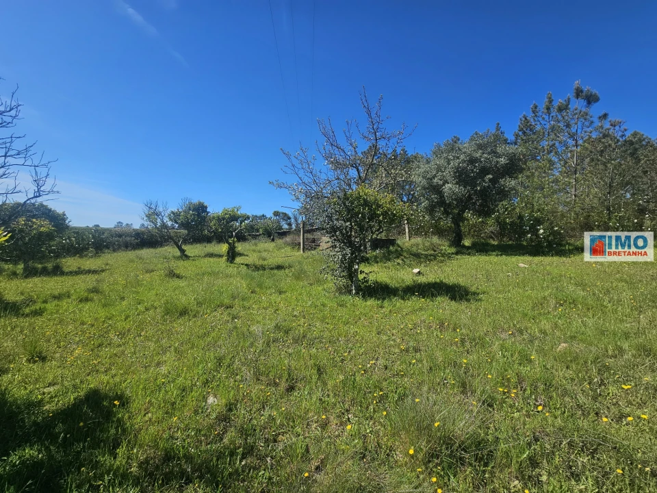 Terreno Agricola ou Rústico para Venda em Sarnadas de Rodão Foto 9