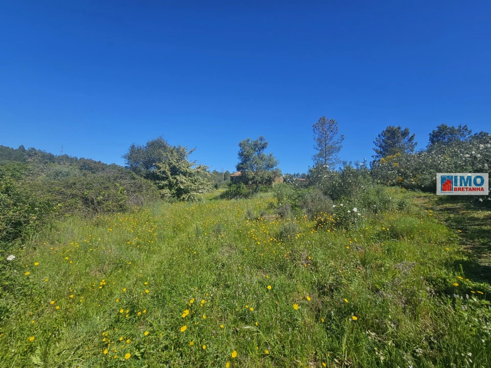 Terreno Agricola ou Rústico para Venda em Sarnadas de Rodão Foto 17