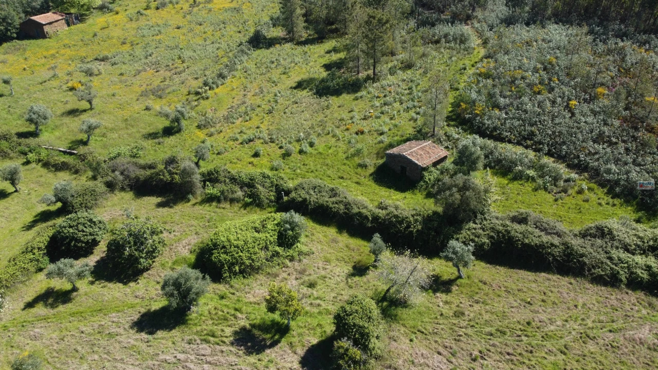 Terreno Agricola ou Rústico para Venda em Sarnadas de Rodão Foto 3