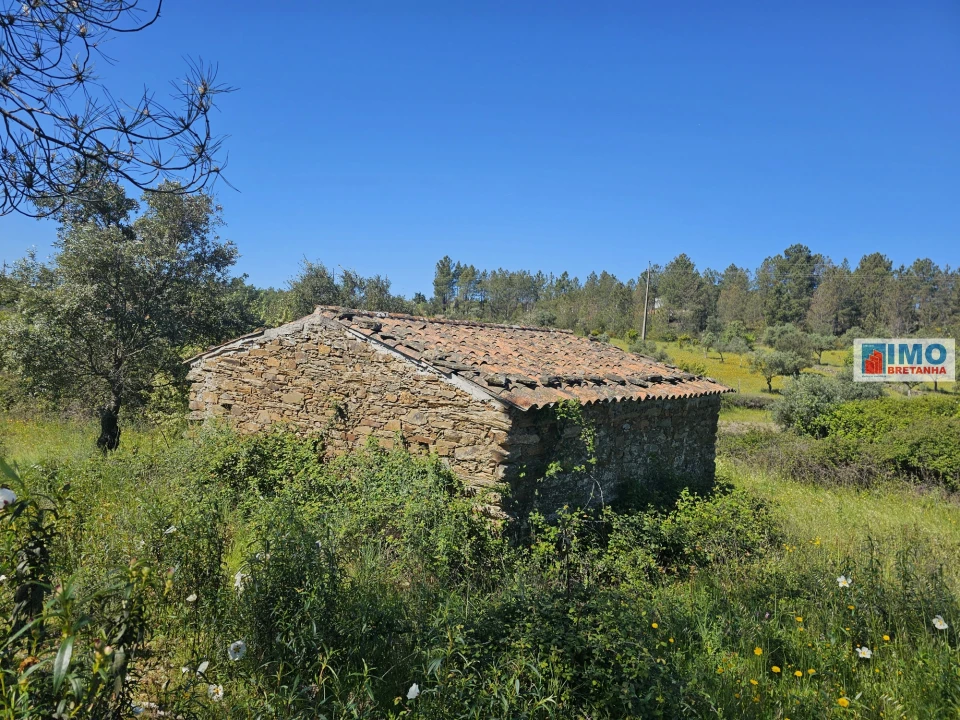 Terreno Agricola ou Rústico para Venda em Sarnadas de Rodão Foto 4