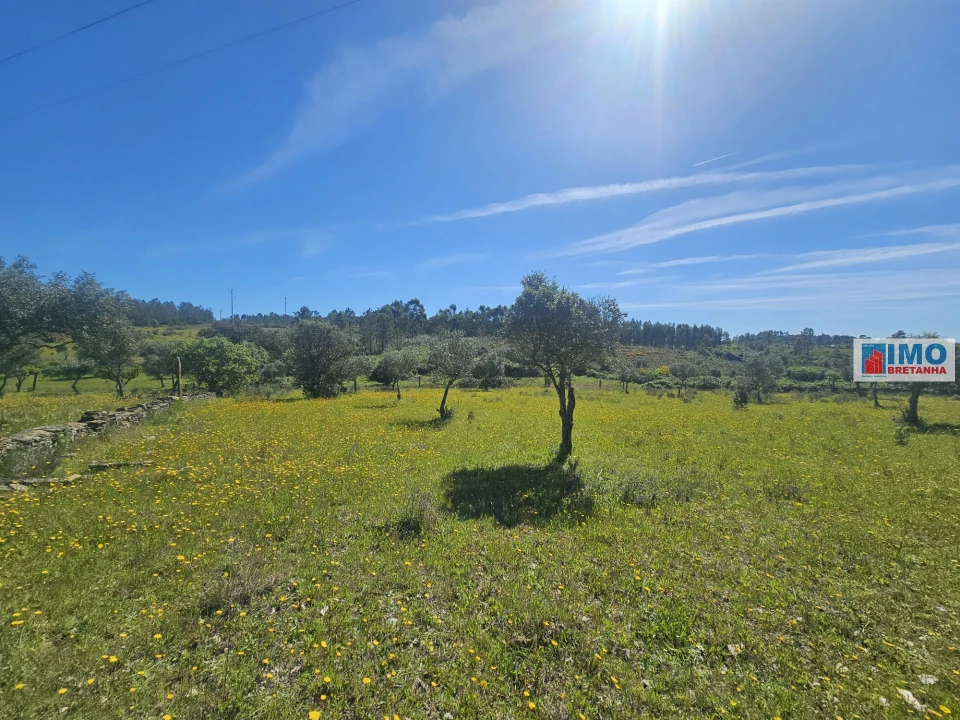 Terreno Agricola ou Rústico para Venda em Sarnadas de Rodão Foto 13