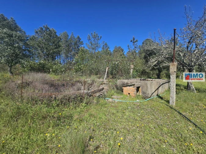 Terreno Agricola ou Rústico para Venda em Sarnadas de Rodão Foto 5