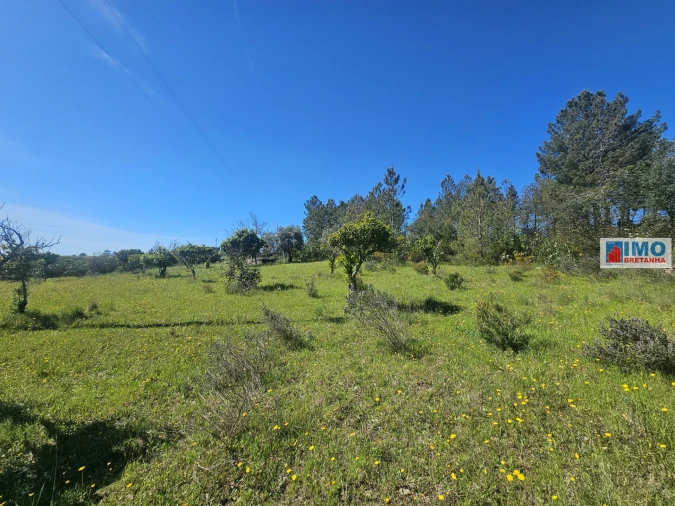 Terreno Agricola ou Rústico para Venda em Sarnadas de Rodão Foto 14