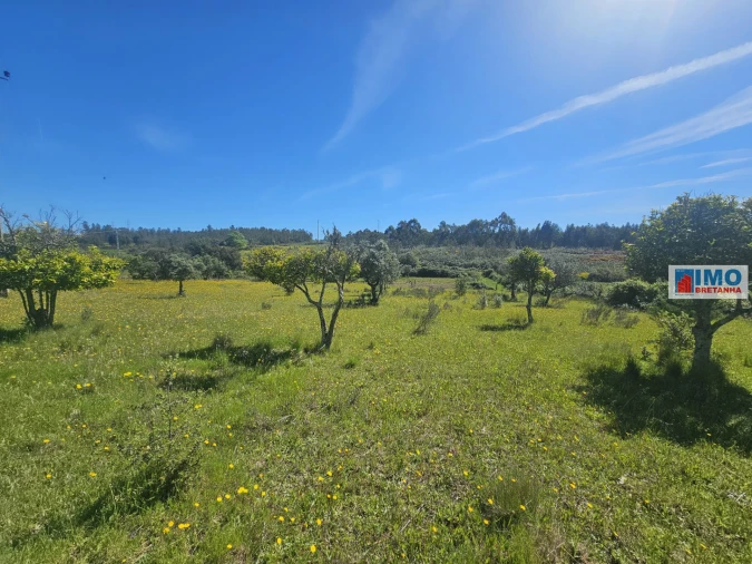 Terreno Agricola ou Rústico para Venda em Sarnadas de Rodão Foto 7