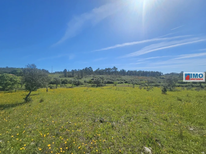 Terreno Agricola ou Rústico para Venda em Sarnadas de Rodão Foto 11