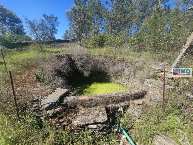 Terreno Agricola ou Rústico para Venda em Sarnadas de Rodão Foto 6