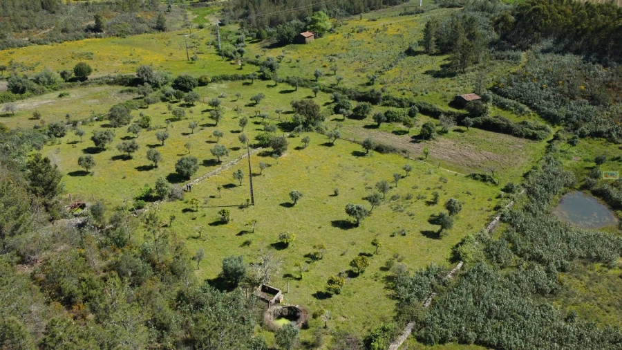 Terreno Agricola ou Rústico para Venda em Sarnadas de Rodão Foto 1