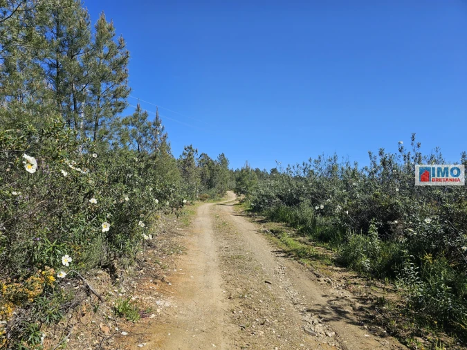 Terreno Agricola ou Rústico para Venda em Sarnadas de Rodão Foto 20