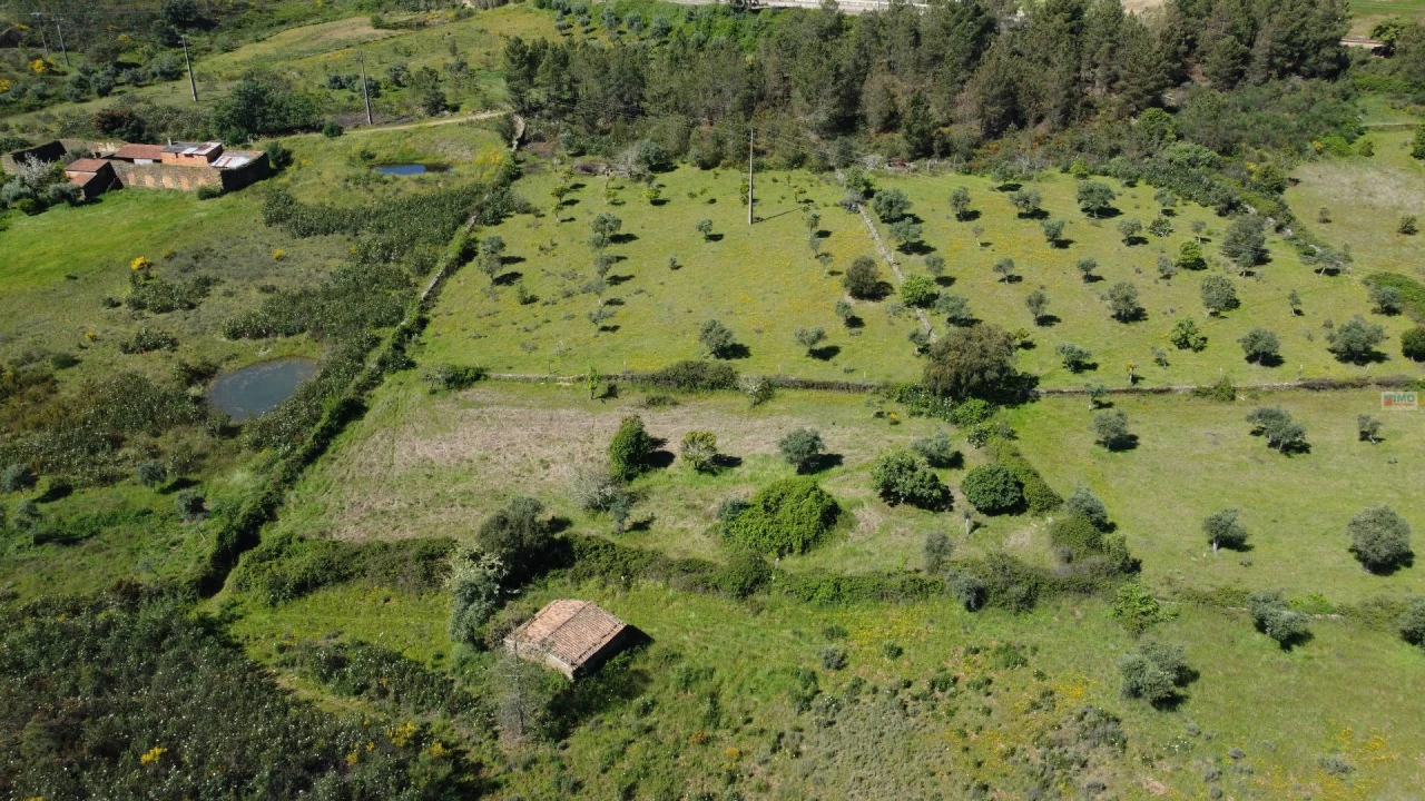 Terreno Agricola ou Rústico para Venda em Sarnadas de Rodão Foto 2