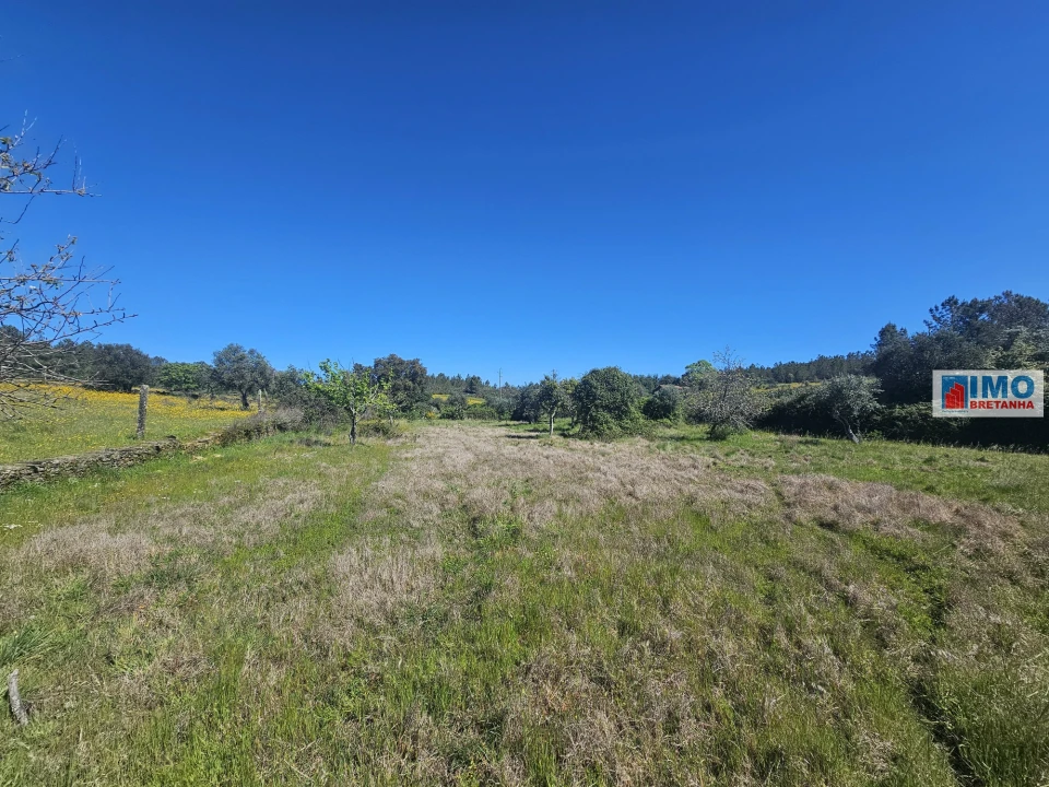 Terreno Agricola ou Rústico para Venda em Sarnadas de Rodão Foto 16