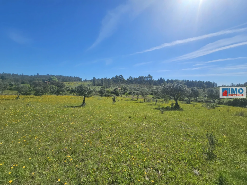 Terreno Agricola ou Rústico para Venda em Sarnadas de Rodão Foto 10