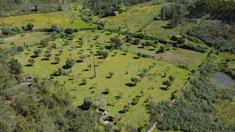 Terreno Agricola ou Rústico para Venda em Sarnadas de Rodão