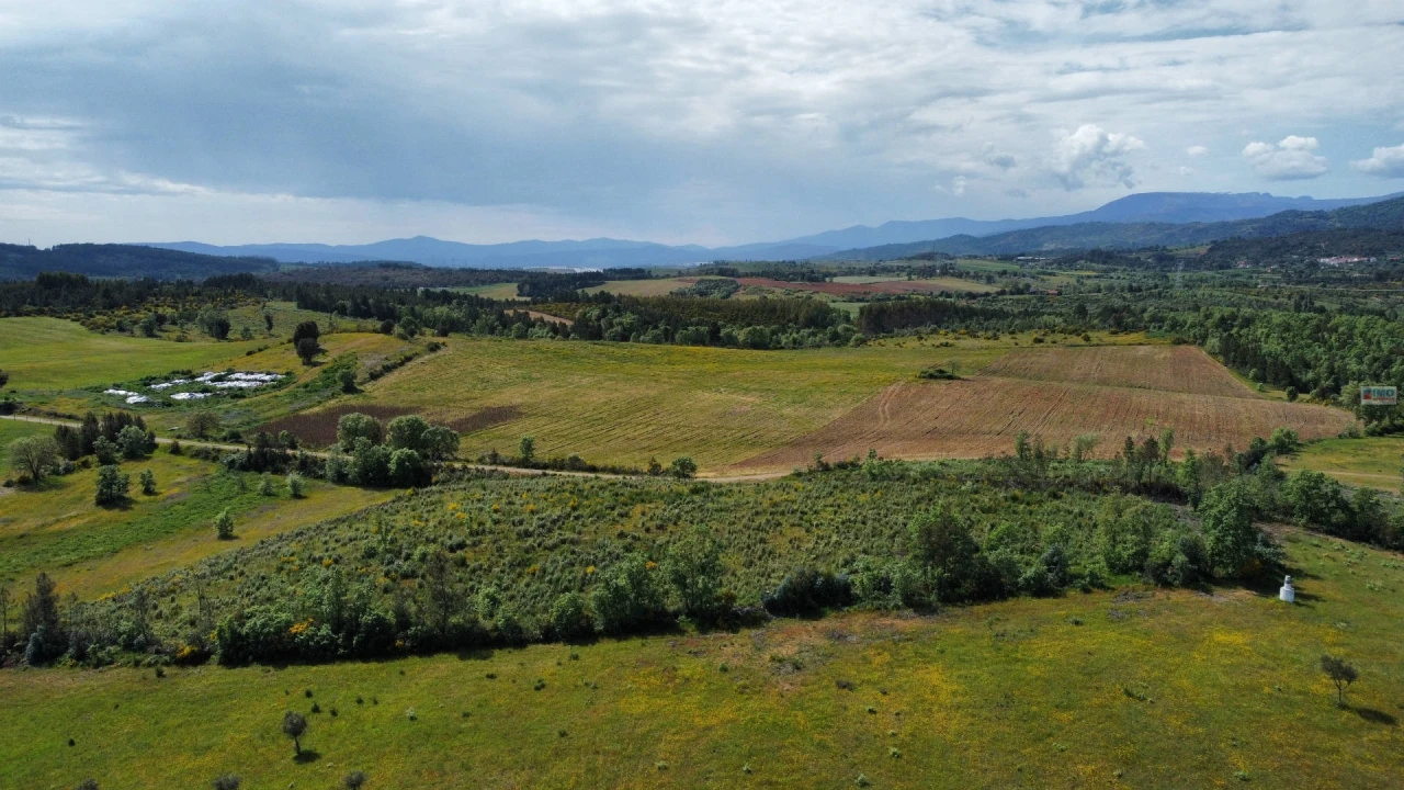 Terreno Agricola ou Rústico para Venda em Enxames Foto 1