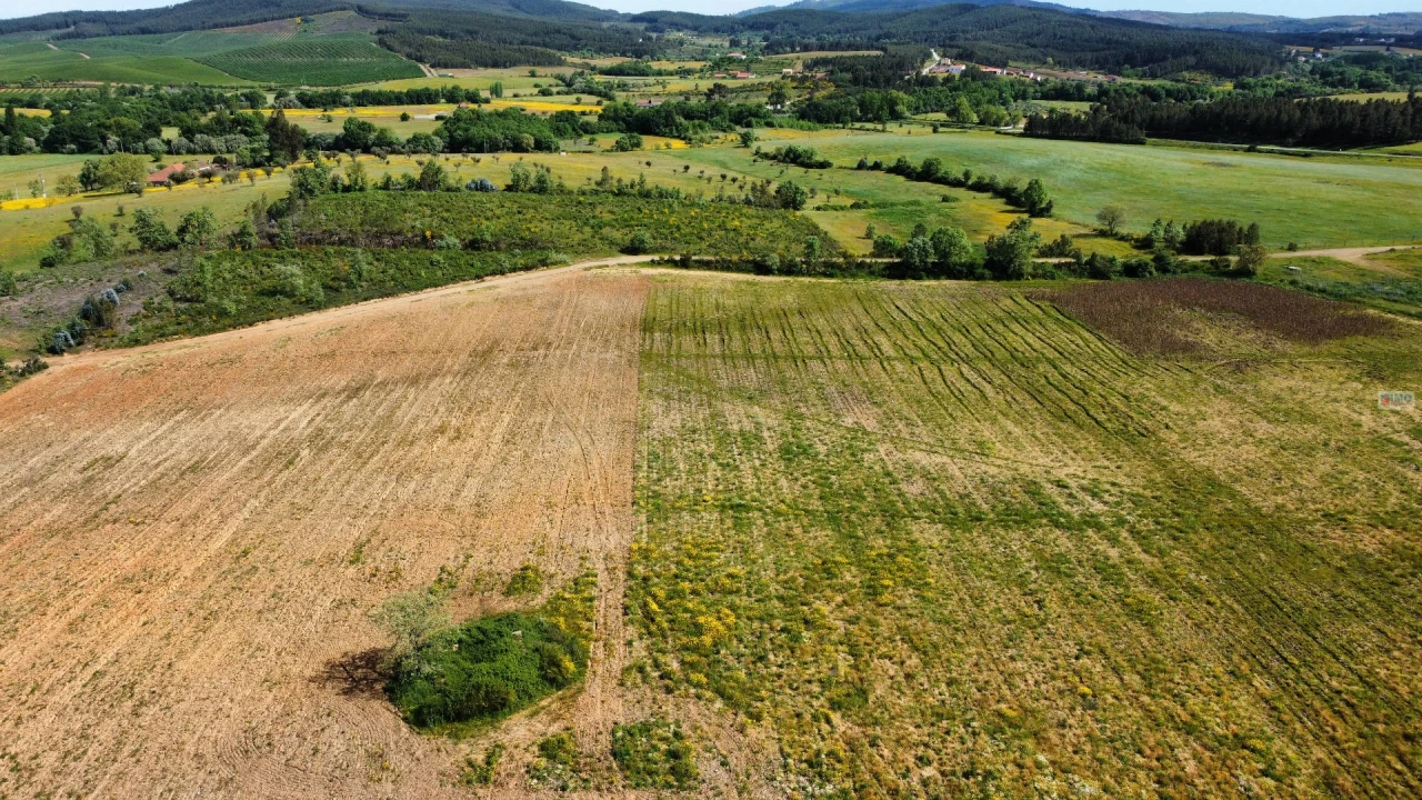 Terreno Agricola ou Rústico para Venda em Enxames Foto 9
