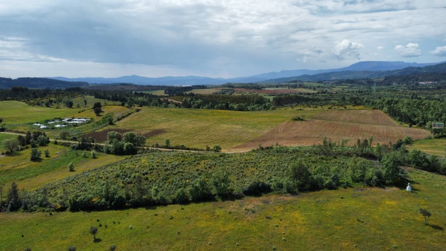 Terreno Agricola ou Rústico para Venda em Enxames Foto 1