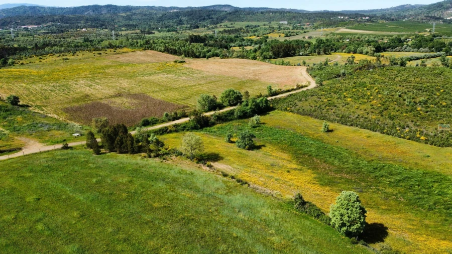 Terreno Agricola ou Rústico para Venda em Enxames Foto 10