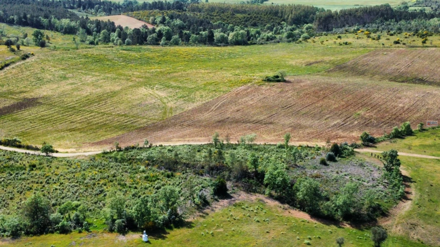 Terreno Agricola ou Rústico para Venda em Enxames Foto 2