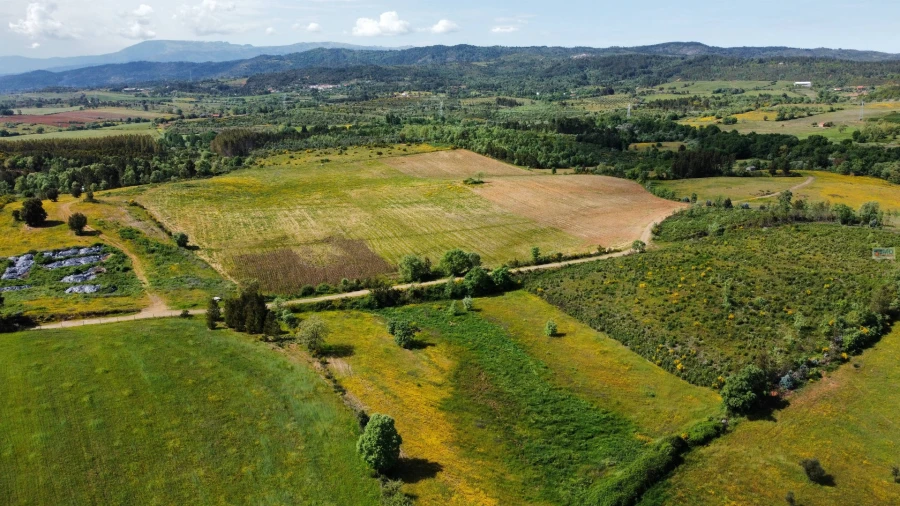 Terreno Agricola ou Rústico para Venda em Enxames Foto 3
