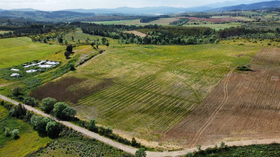 Terreno Agricola ou Rústico para Venda em Enxames Foto 4