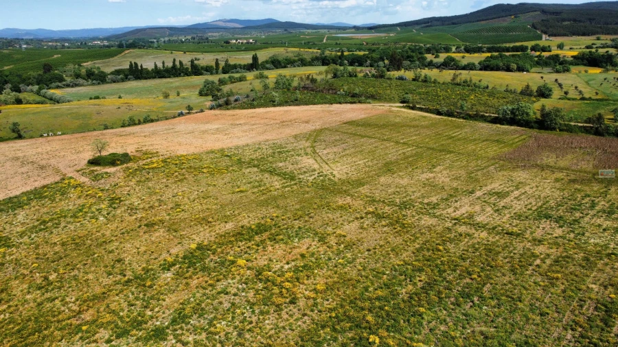 Terreno Agricola ou Rústico para Venda em Enxames Foto 7