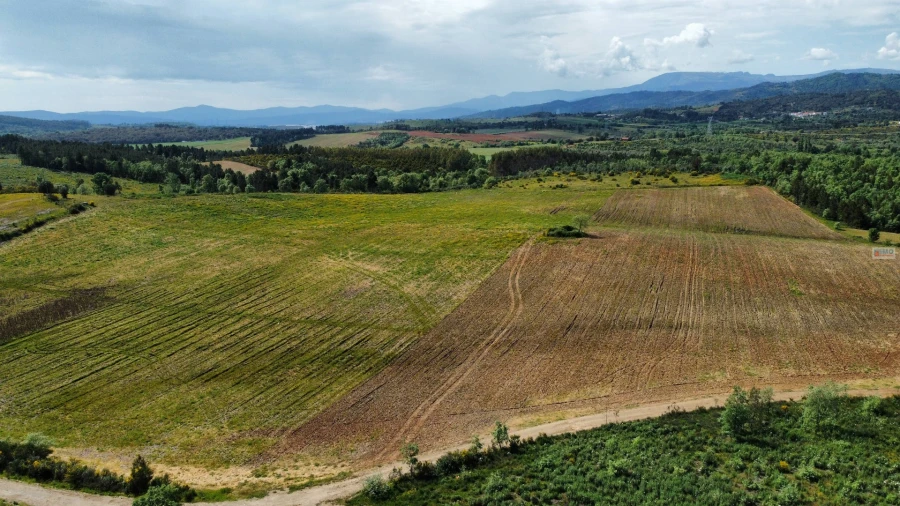 Terreno Agricola ou Rústico para Venda em Enxames Foto 5