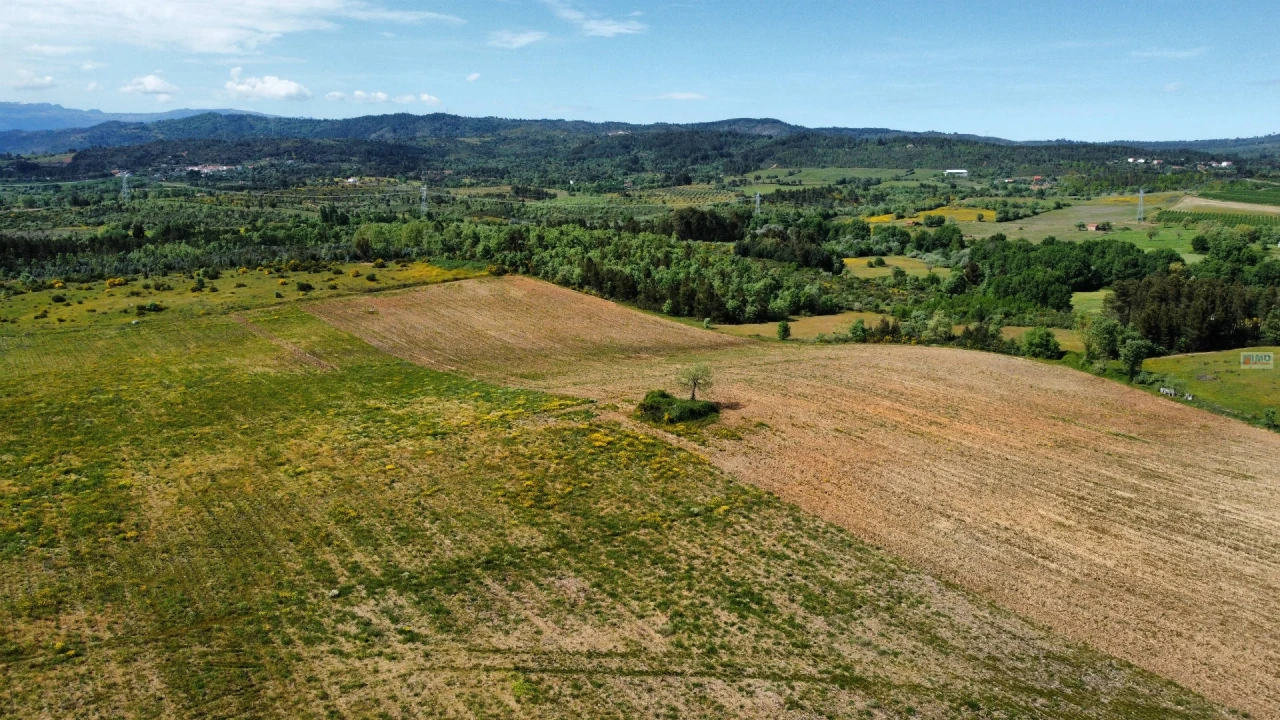 Terreno Agricola ou Rústico para Venda em Enxames Foto 6