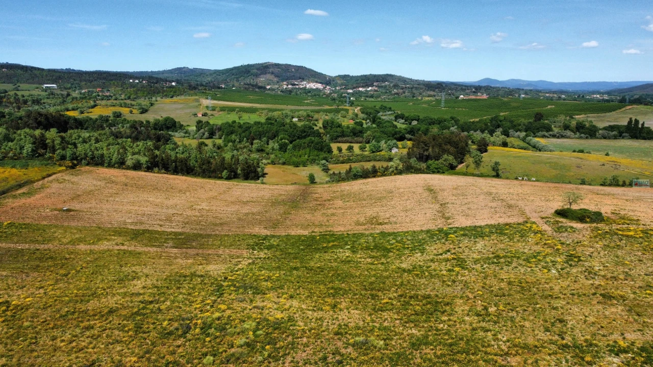 Terreno Agricola ou Rústico para Venda em Enxames Foto 8