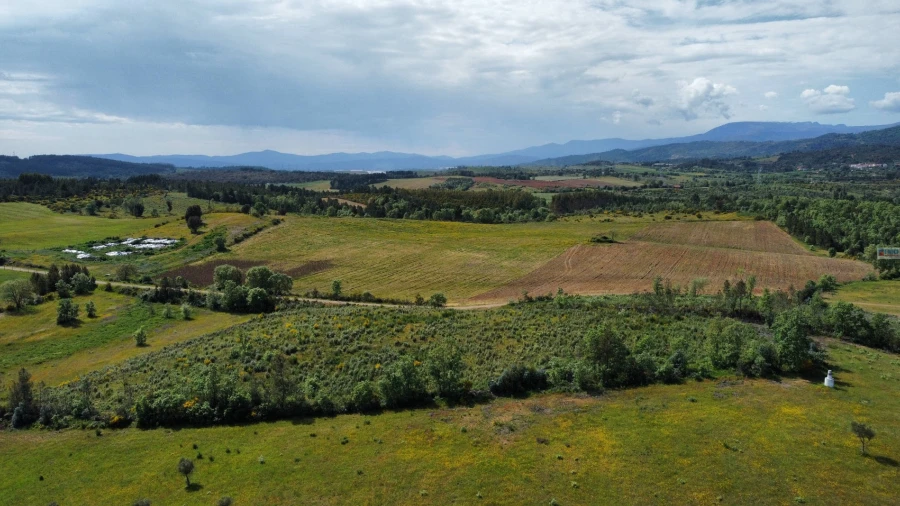 Terreno Agricola ou Rústico para Venda em Enxames