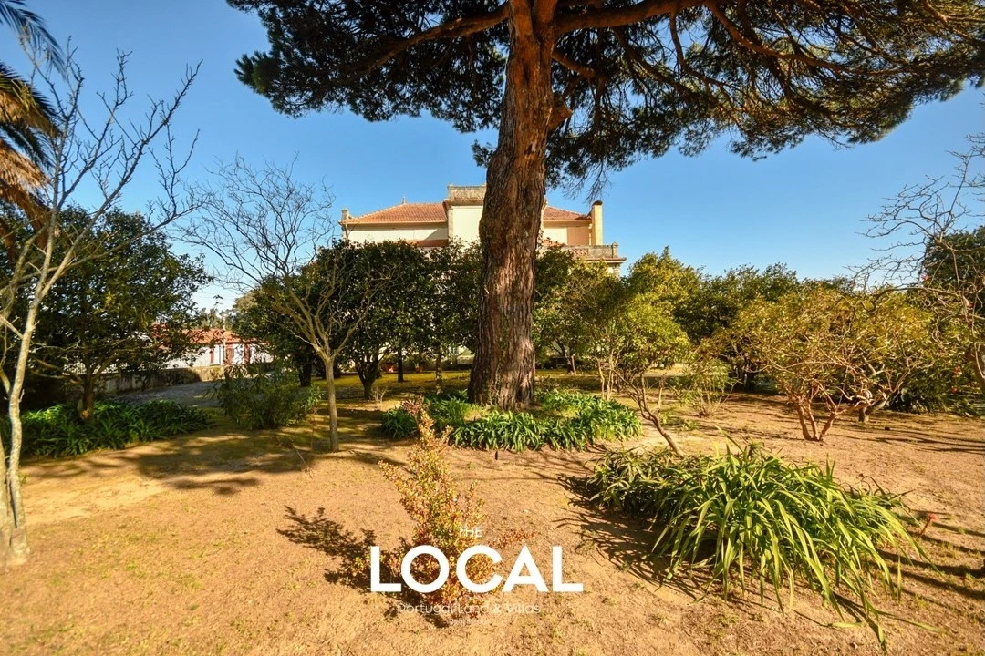 Quinta T8 para Venda em Gulpilhares e Valadares Foto 7