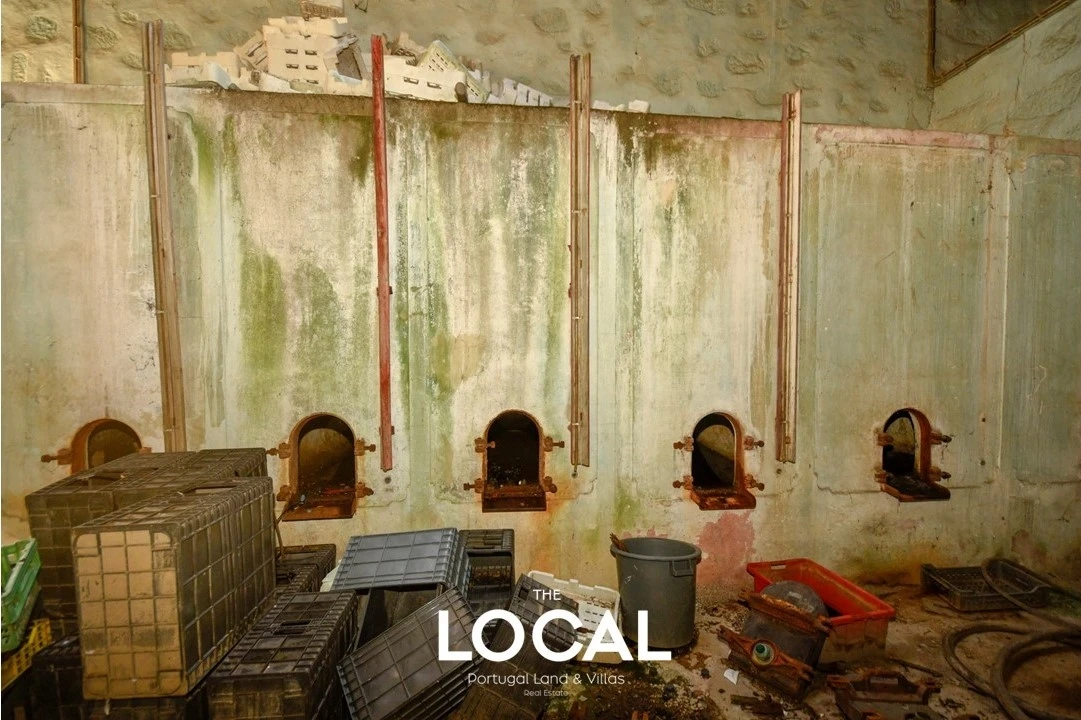 Quinta T8 para Venda em Gulpilhares e Valadares Foto 50