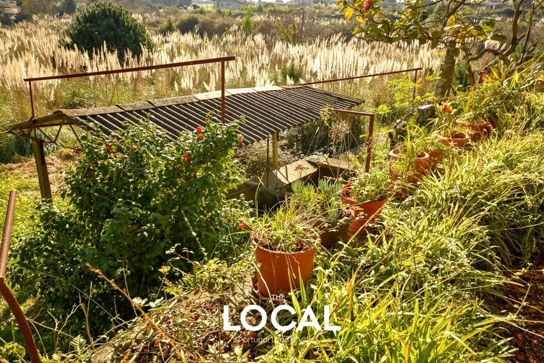 Quinta T8 para Venda em Gulpilhares e Valadares Foto 22