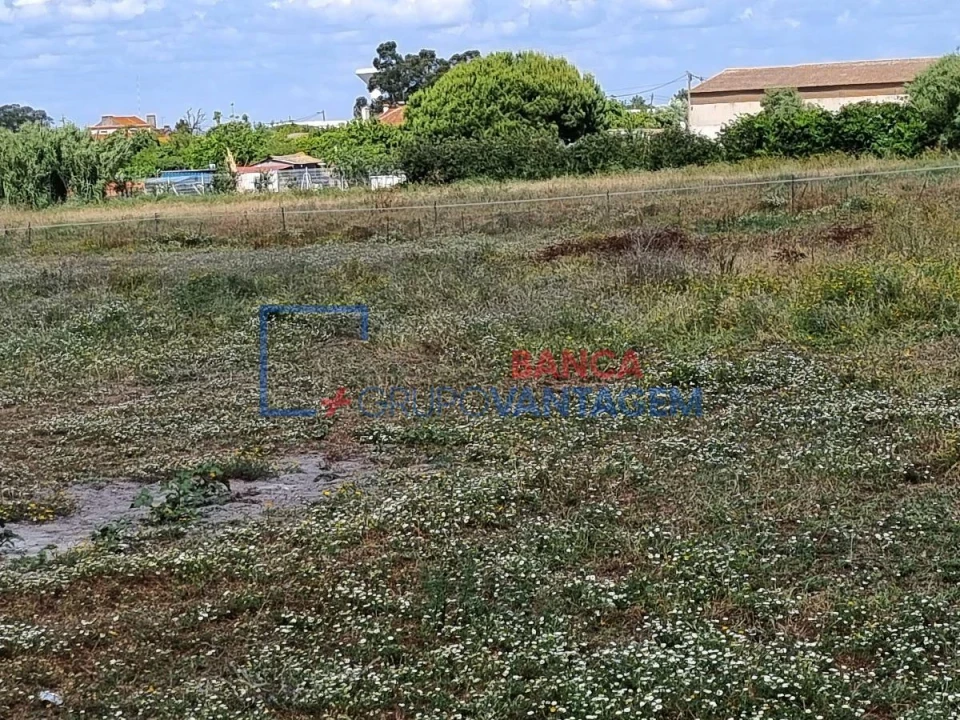 Terreno Agricola ou Rústico para Venda em Santo Antonio da Charneca Foto 7