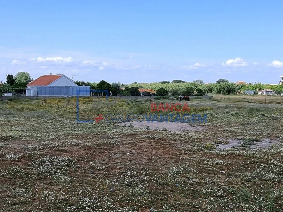 Terreno Agricola ou Rústico para Venda em Santo Antonio da Charneca Foto 9