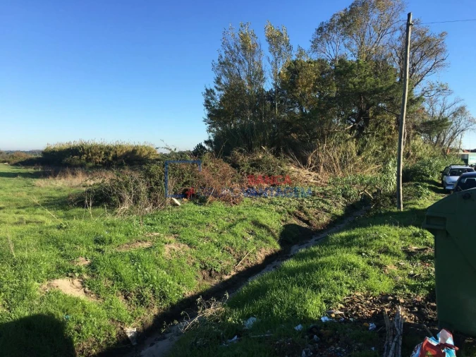 Terreno Agricola ou Rústico para Venda em Santo Antonio da Charneca Foto 2