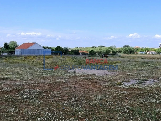 Terreno Agricola ou Rústico para Venda em Santo Antonio da Charneca Foto 9