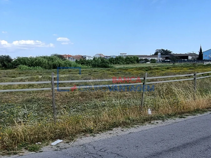 Terreno Agricola ou Rústico para Venda em Santo Antonio da Charneca Foto 14
