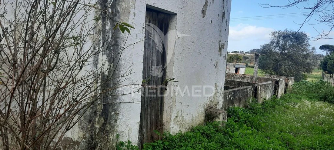 Terreno para Venda em Coruche, Fajarda e Erra Foto 4