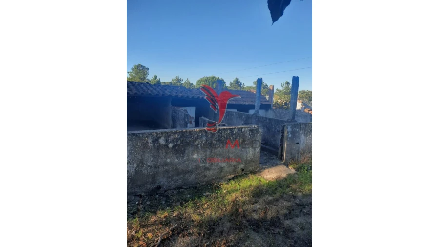 Terreno para Venda em Coruche, Fajarda e Erra Foto 9