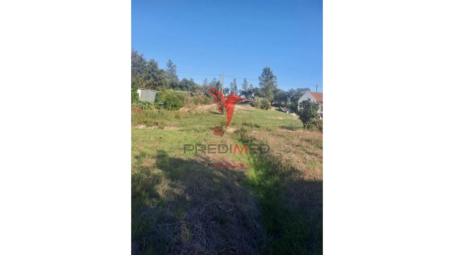 Terreno para Venda em Coruche, Fajarda e Erra Foto 8