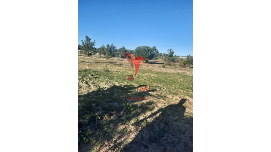 Terreno para Venda em Coruche, Fajarda e Erra Foto 7