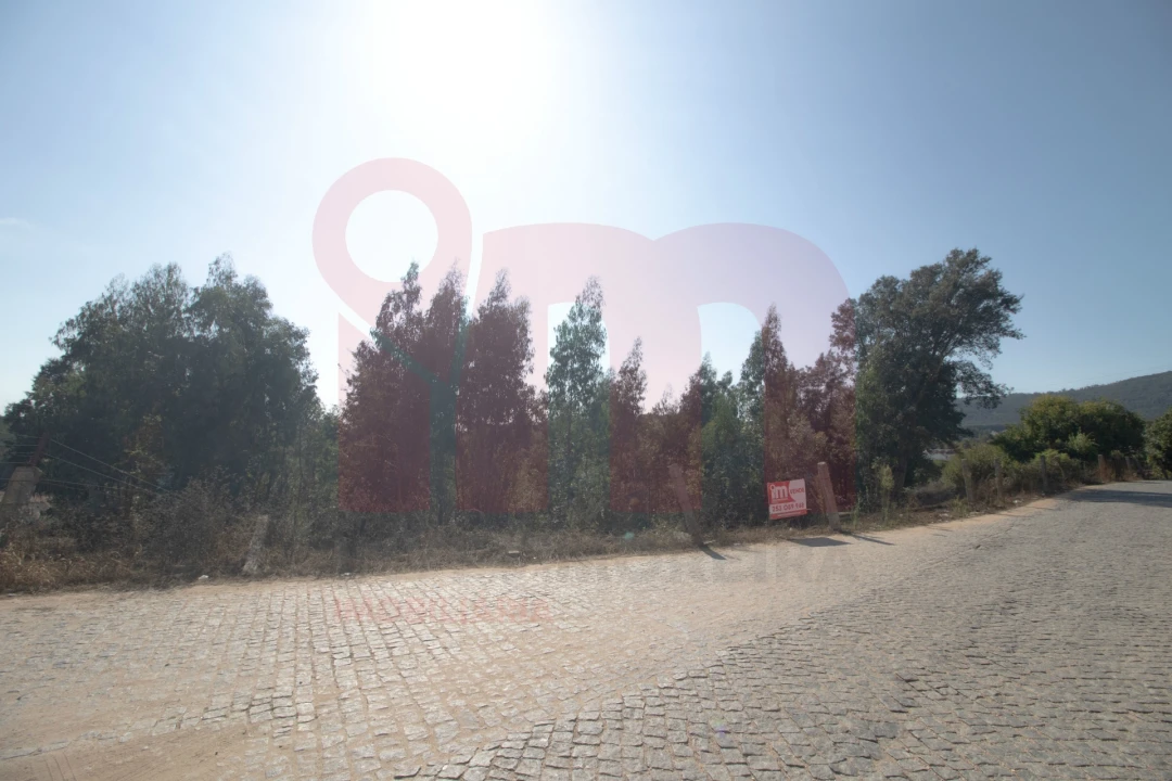 Terreno para Venda em Lama Foto 7