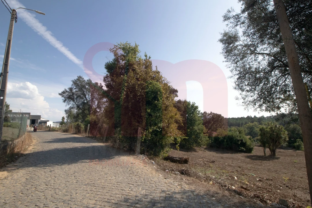 Terreno para Venda em Lama Foto 6