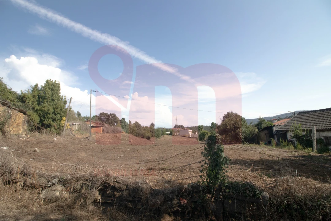 Terreno para Venda em Lama Foto 12