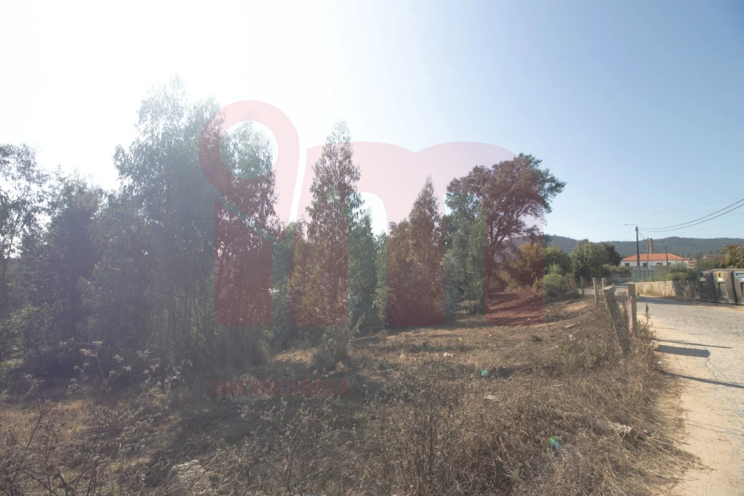 Terreno para Venda em Lama Foto 9